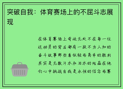 突破自我：体育赛场上的不屈斗志展现